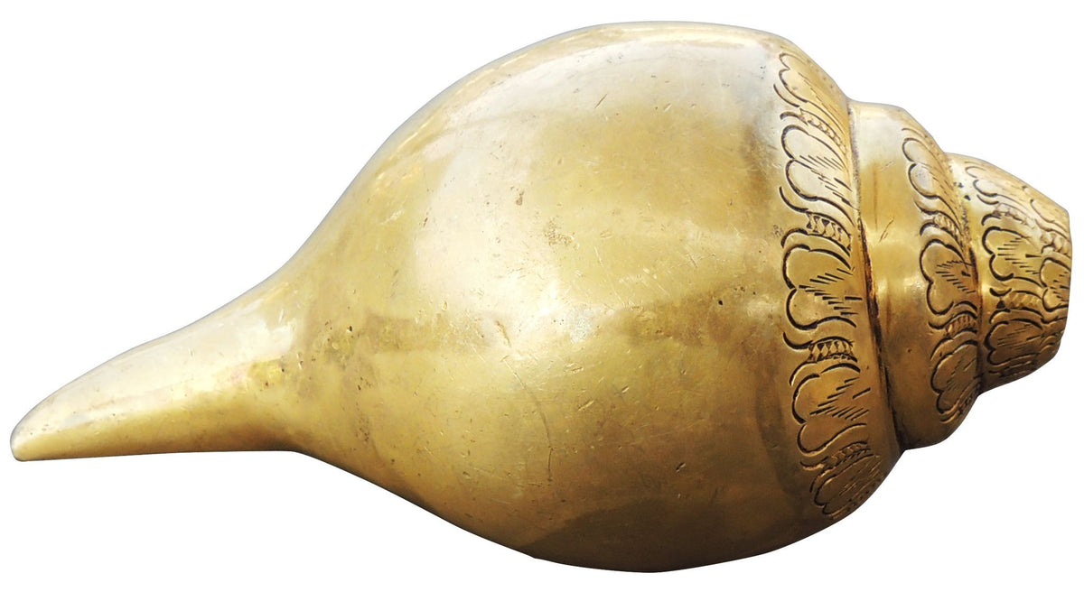 Brass Showpiece Conch With Sound - 7*4*3.5 Inch (BS1277 B)
