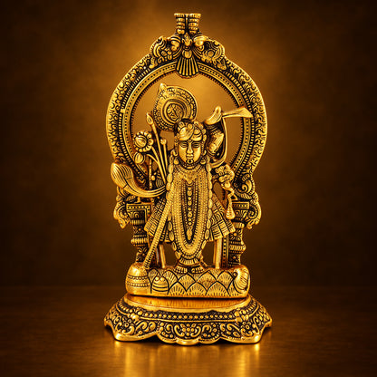 Aluminium Shreenath -5.5*3.5*9.2 Inches (AS283 G)